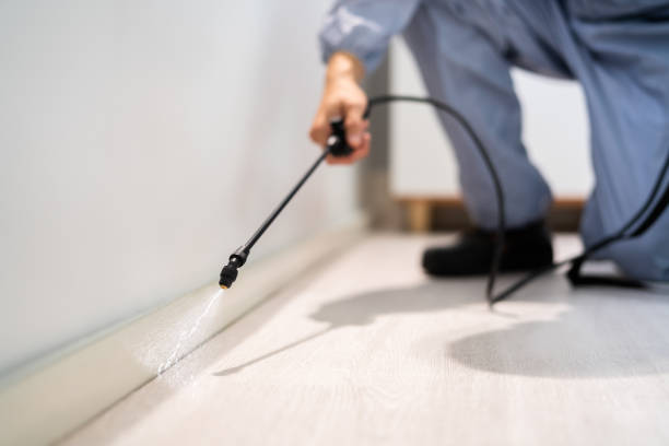 Licensed Mosquito Control service in Harrison, WI - Show Me Pest Control