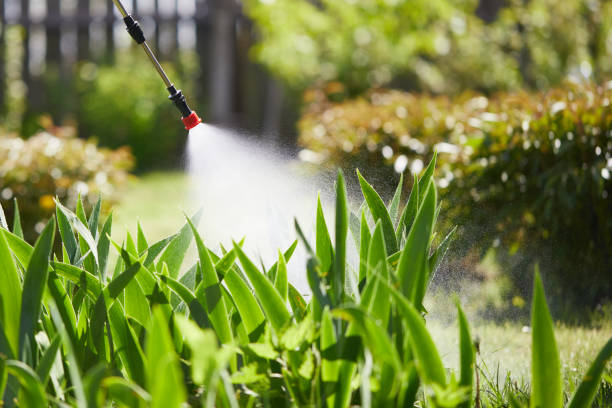 24/7 Emergency Mosquito Control experts in Harrison, WI